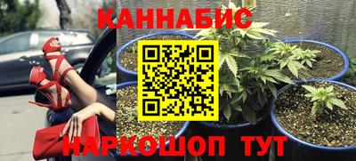 дживик Вышний Волочёк