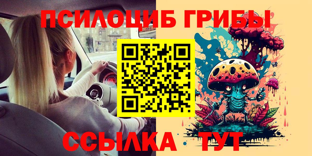 Псилоцибиновые грибы прущие грибы  Псилоцибиновые грибы Psilocybe  где можно купить наркотик  Вход с VPN  Йошкар-Ола 