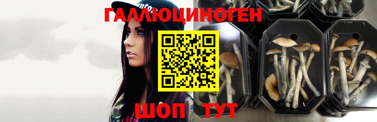 Псилоцибиновые грибы мухоморы Йошкар-Ола